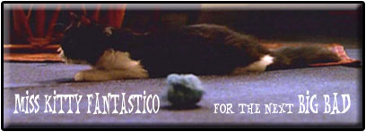 Miss Kitty Fantastico for the next Big Bad